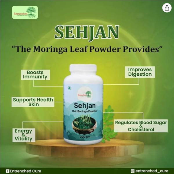Entrenched Sehjan Moringa Leaf Powder | 100% Pure & Organic | Natural Energy Booster | Rich in Vitamins & Antioxidants | Supports Immunity & Overall Wellness – 200g - Image 5