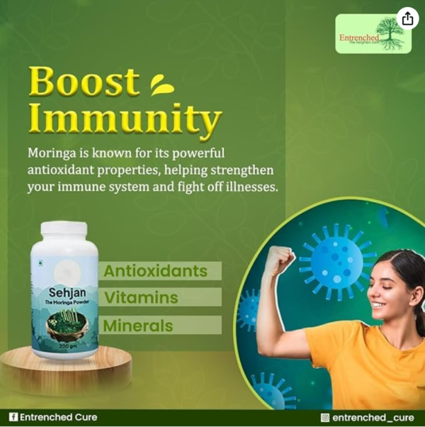 Entrenched Sehjan Moringa Leaf Powder | 100% Pure & Organic | Natural Energy Booster | Rich in Vitamins & Antioxidants | Supports Immunity & Overall Wellness – 200g - Image 2
